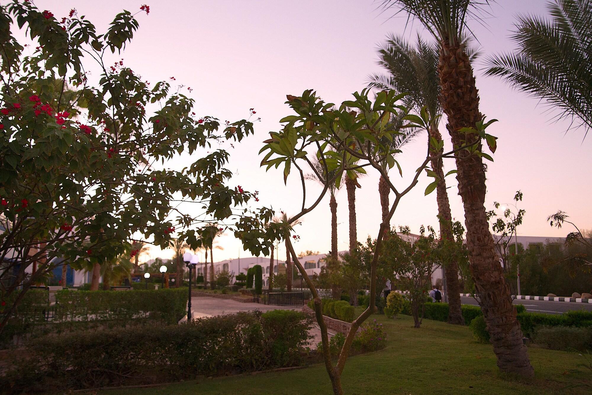 Naama Blue Hotel Sharm el-Sheikh Bagian luar foto